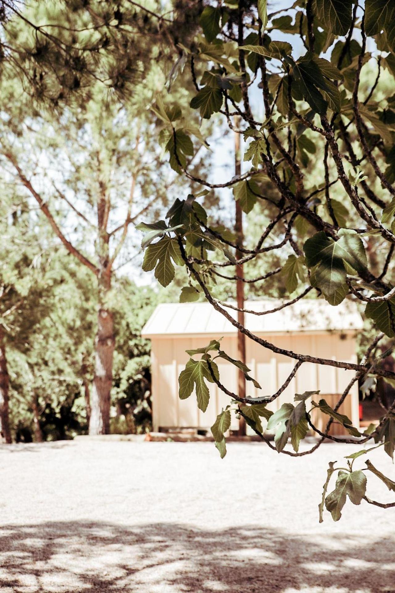 De Country house *